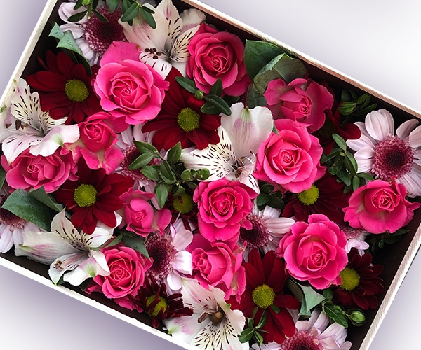 Прямоугольная коробка с красной хризантемой, альстромерией и кустовой розой