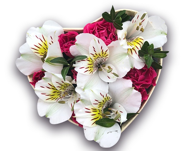 Коробка у формі серця з білою альстромерією та рожевою кущовою трояндою
