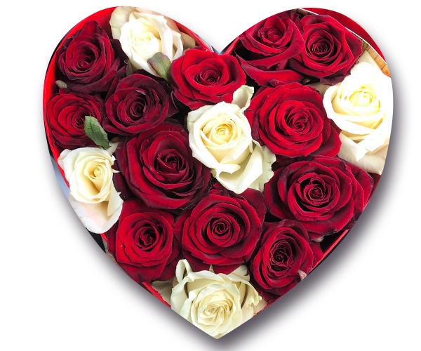 Пишні червоні і білі троянди в коробці сердечком